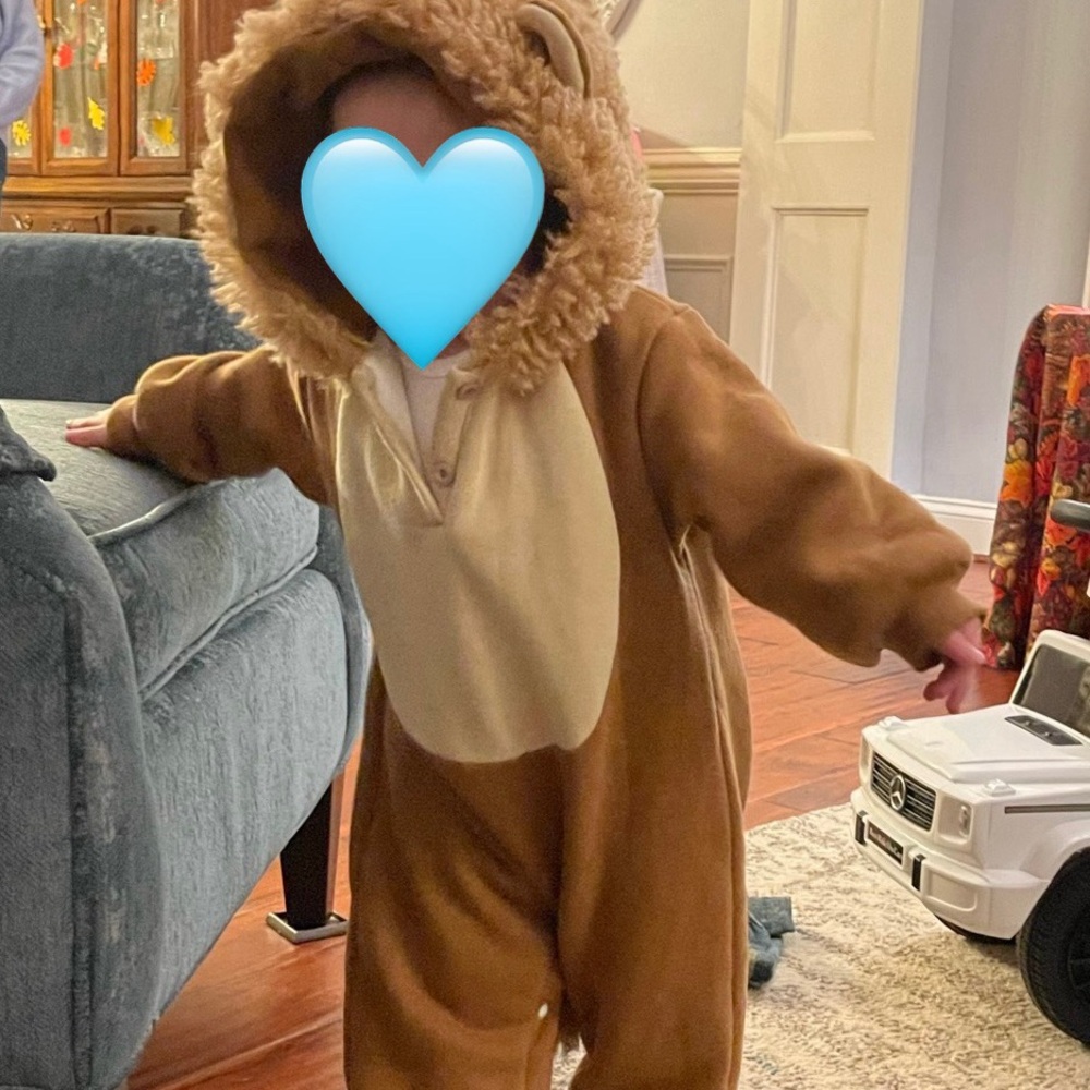 Adorable Lion Costume for Kids